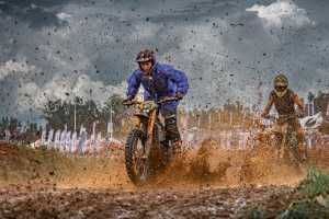 Winner Image