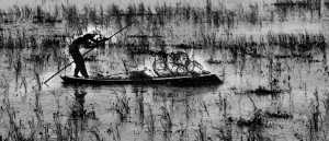Go Fishing 5180