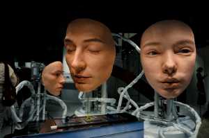 Acceptance Image