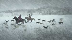 Acceptance Image