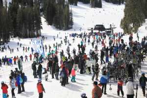 Skiing 5292