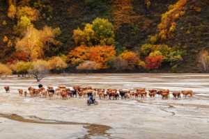 Winner Image