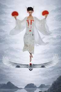 Acceptance Image